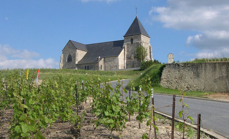 Image Les vignobles de Champagne à vélo