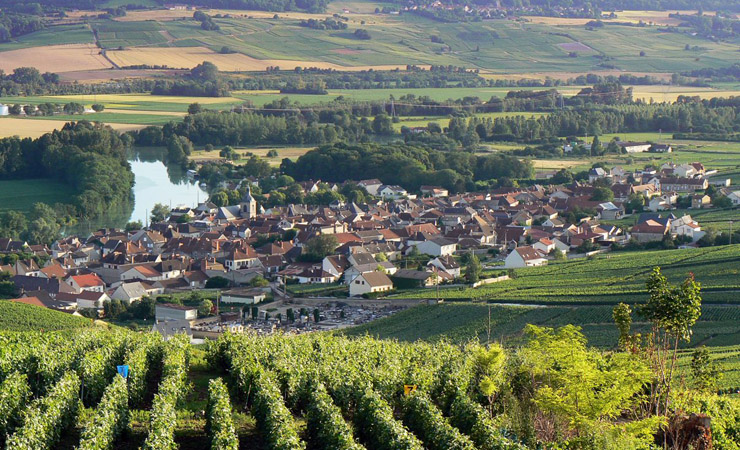 Voyage à vélo - Balade pétillante en Champagne, de Reims à Épernay