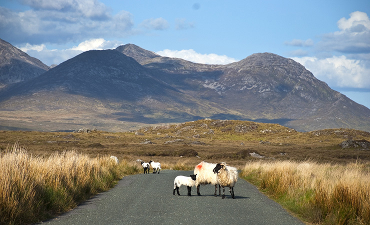 Image Les beautés du Connemara à vélo