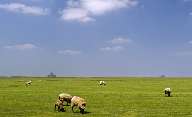 Image Des plages du débarquement au Mont Saint Michel à vélo
