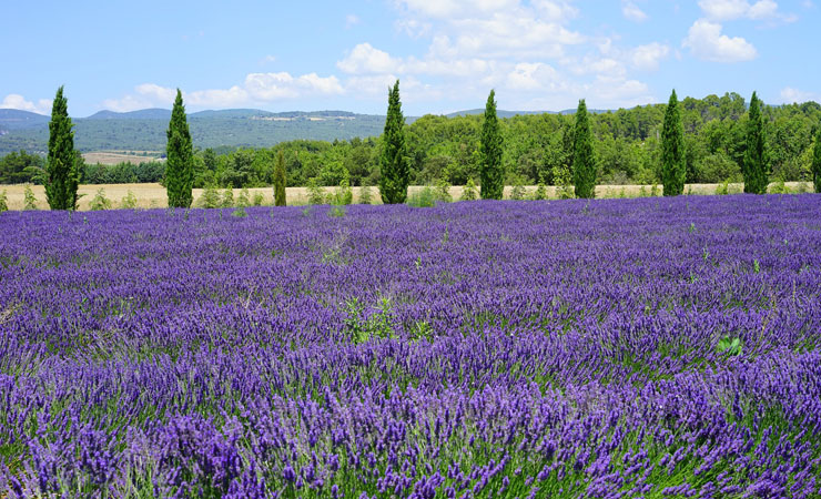 Image Le Luberon à vélo