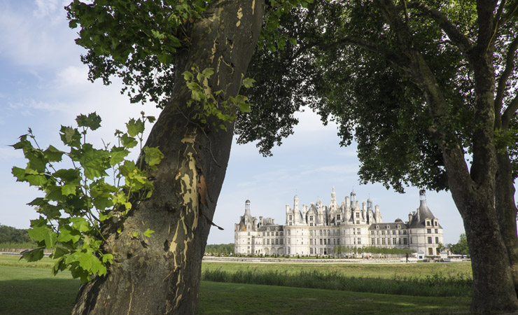 Image Séjour vélo en chambre d'hôtes au Pays des Châteaux