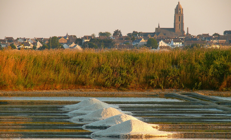 Image La Loire à Vélo d'Angers au Croisic