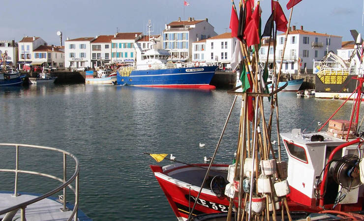 Image La Vendée à vélo : randonnée marine