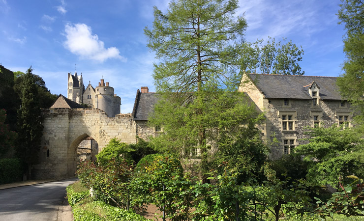 Image L'Anjou et la Touraine à vélo, entre châteaux et vignobles