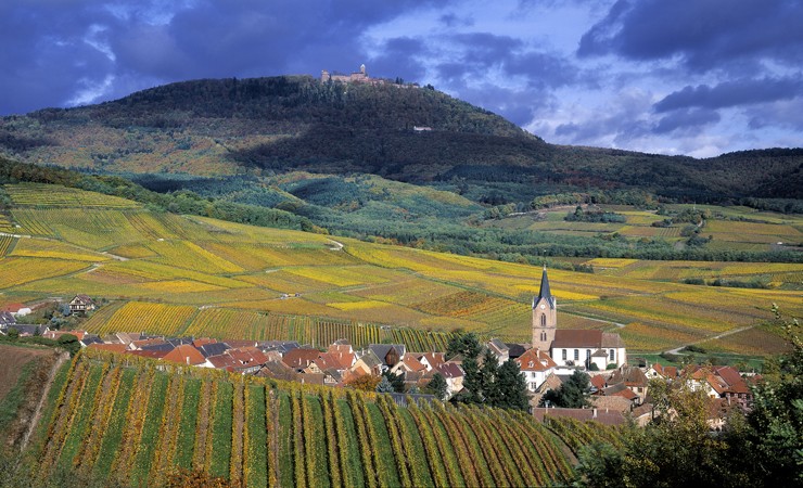 Voyage en véhicule : La route des vins d\'Alsace, à vélo de Colmar à Strasbourg