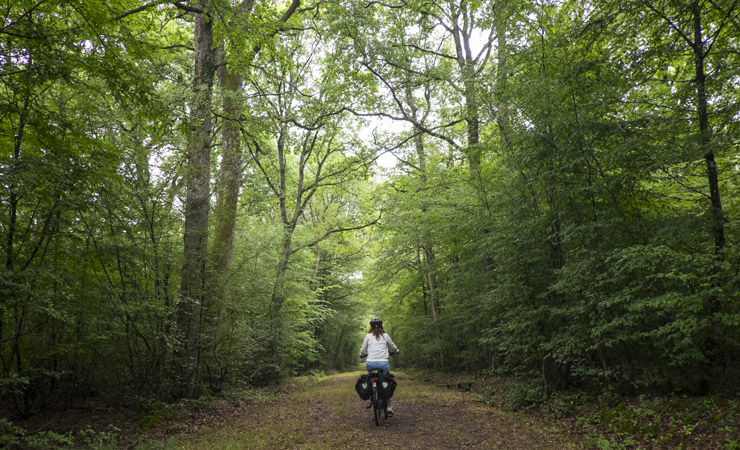 foret de Chambord