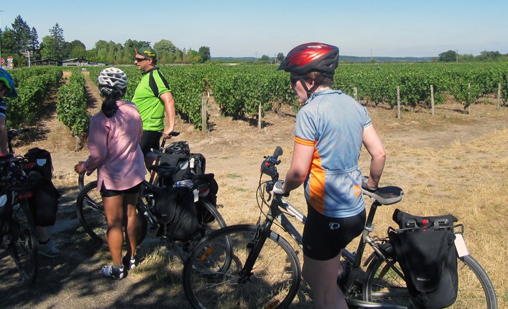 pause dans les vignobles