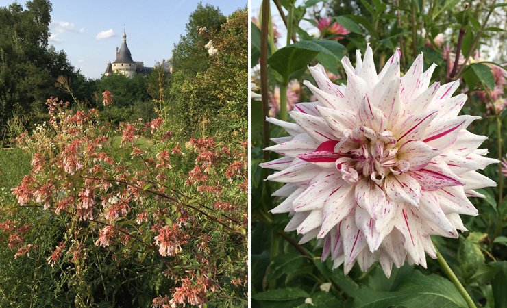 Festival des Jardins de Chaumont sur Loire