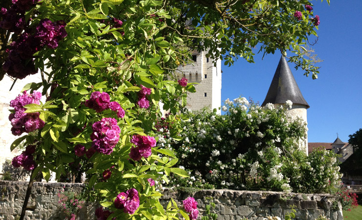 Voyage en véhicule : Les trésors cachés de la Loire à Vélo, de Tours à Saumur