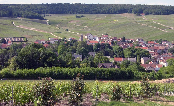 village et vignobles de Champagne