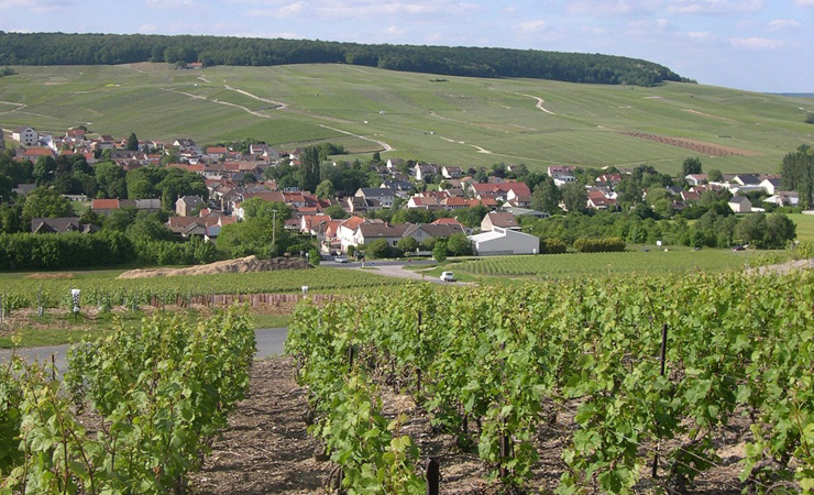 Voyage à vélo - Séjour ‘vélo\' à Épernay, capitale du Champagne