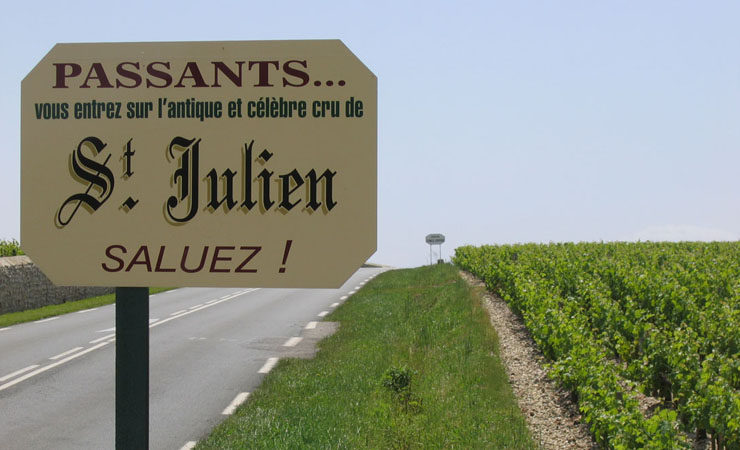vignobles de St Julien