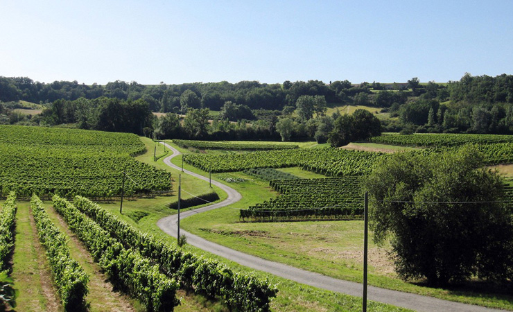 L'Entre-deux-Mers - toscane bordelaise