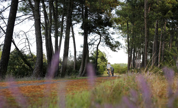 Pistes Cyclables