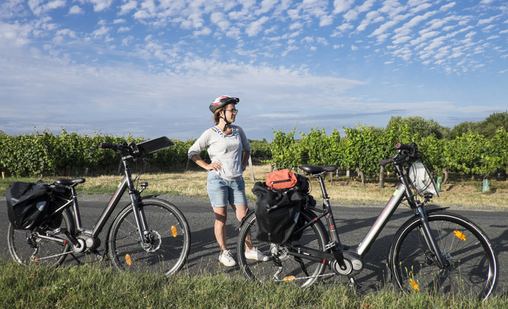 vignobles de Touraine