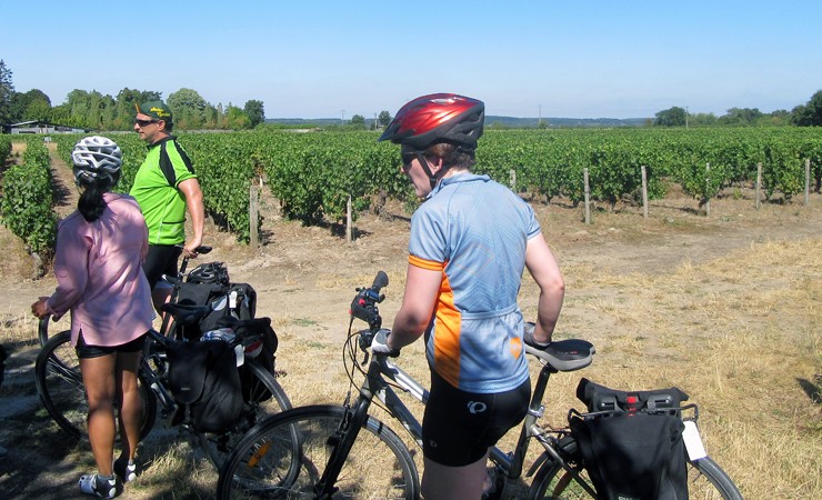 Vignobles de Touraine