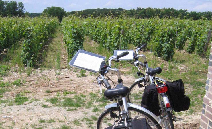 vignobles de Champagne