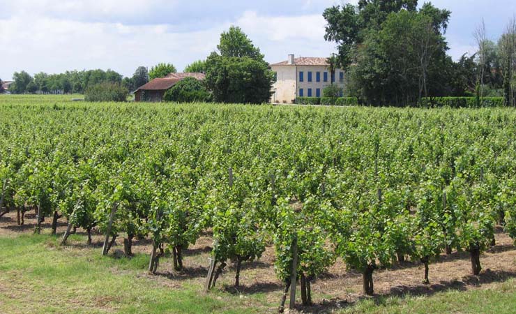 vignobles de Bordeaux