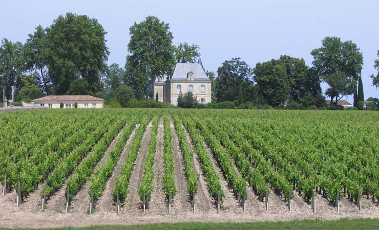 Image La route des vins de Bordeaux à vélo