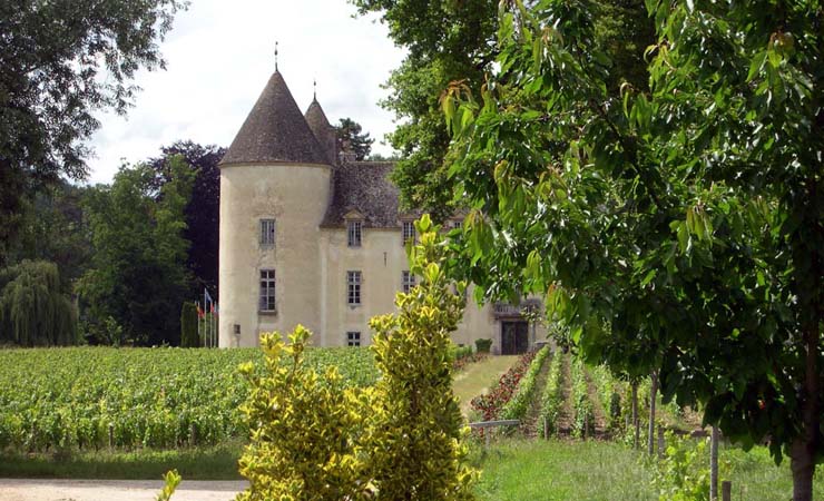 château de Savigny les Beaune