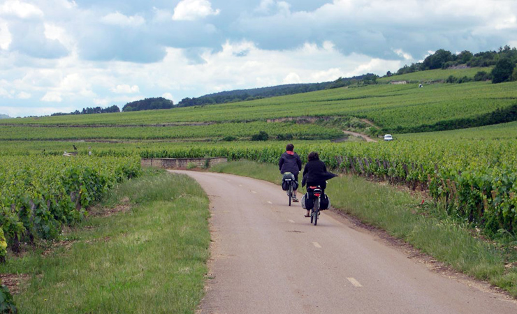 vignobles de Bourgogne