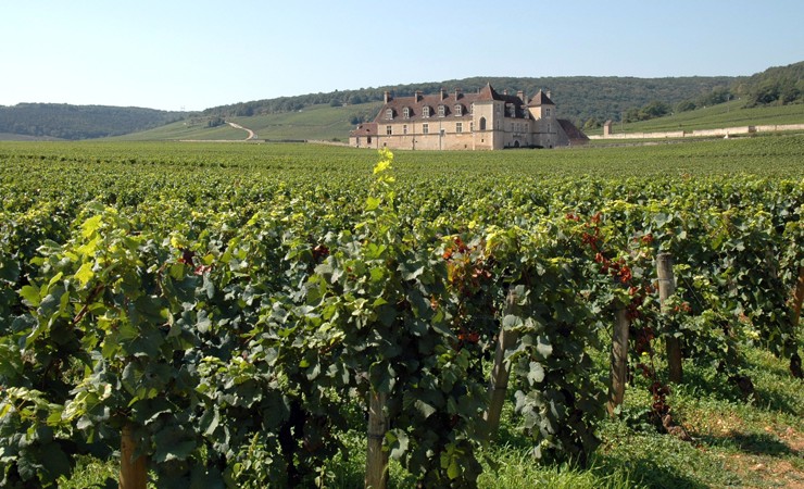 Clos de Vougeot