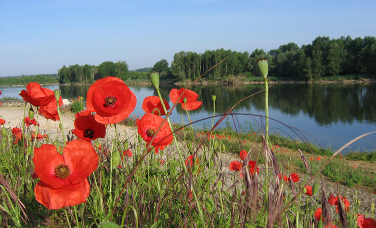 La Loire