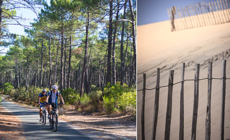 piste cyclable foret de pins et dunes