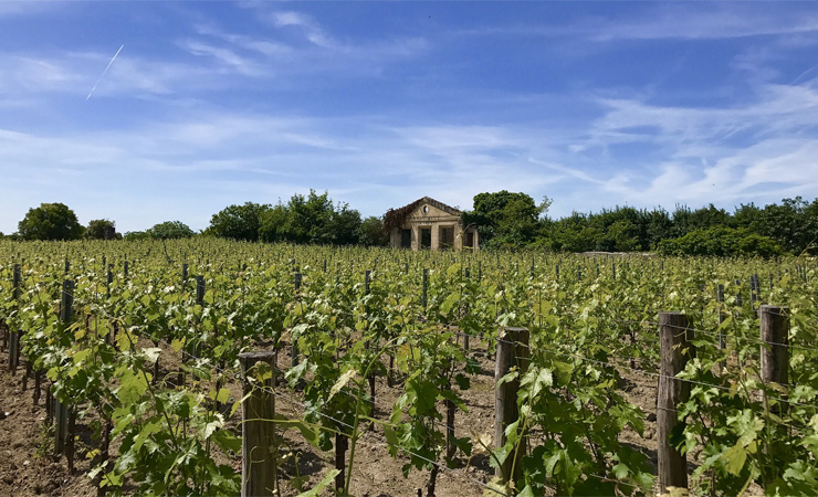 Voyage en véhicule : A vélo de Bordeaux à Sarlat : entre vignobles et Dordogne