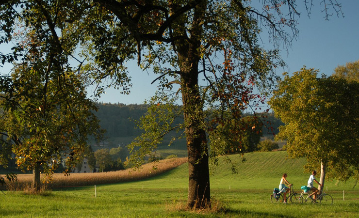 Stein am rhein