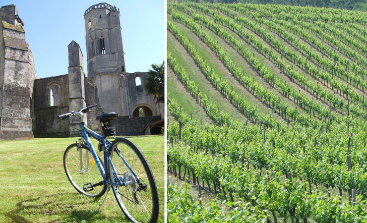 Abbaye de La Sauve Majeure et vignobles