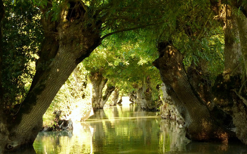 Le Marais Poitevin