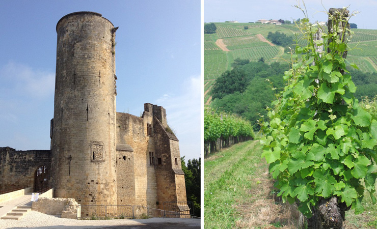 chateau de Rauzan & vignobles