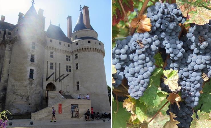 chateau de Langeais & vignobles