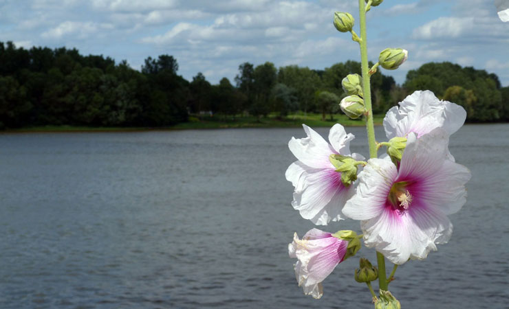 La  Loire