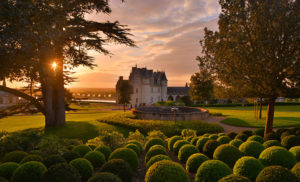 chateau d'Amboise