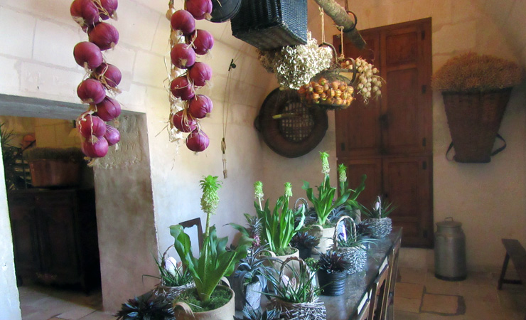 chateau de Chenonceau - cuisine