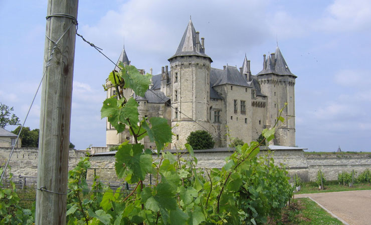 chateau de Saumur