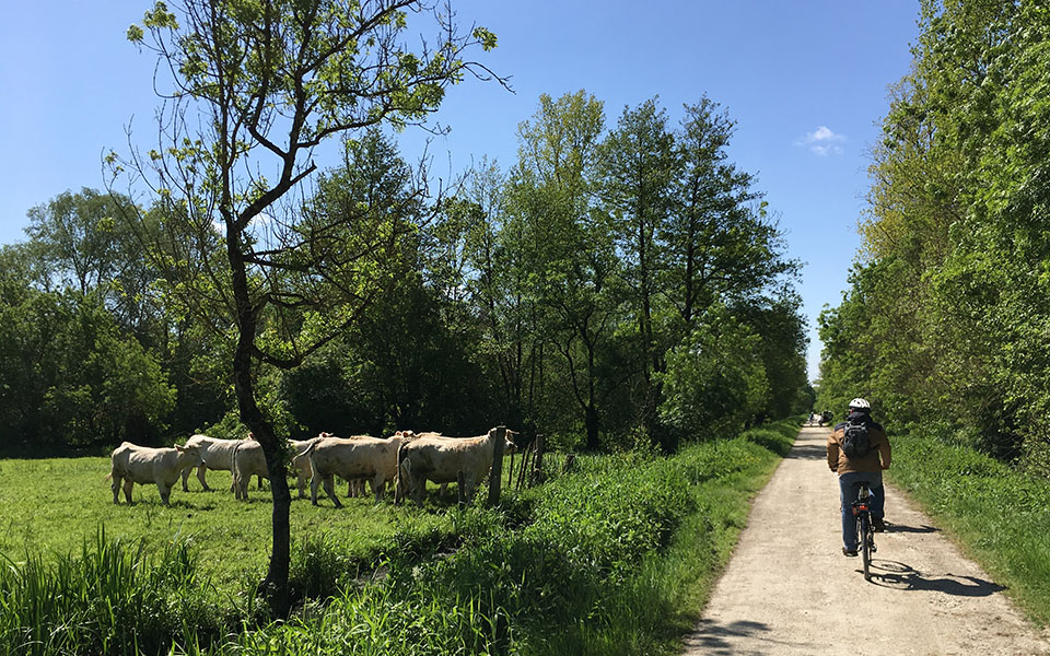 Marais Poitevin