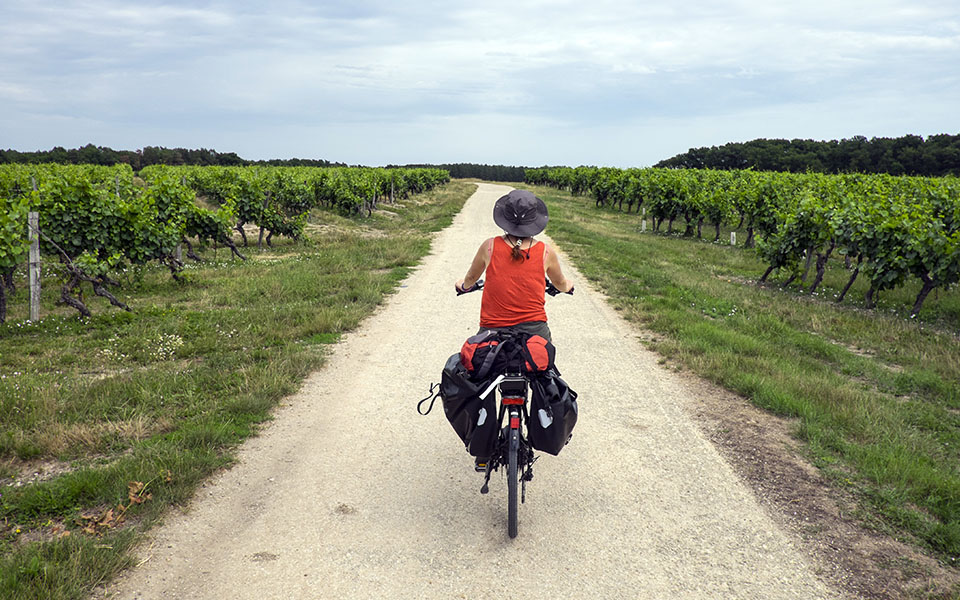 Vignobles de Touraine-Amboise