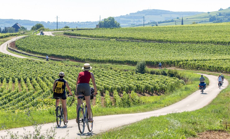 Voyage en véhicule : Les grands vignobles de la Bourgogne à vélo - de Dijon à Chalon-sur-Saône