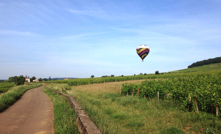 Mongolfière au-dessus des vignes d'Aloxe Corton