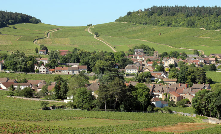 Mercurey : vignes et village