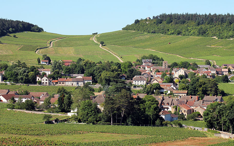 Mercurey : vignes et village