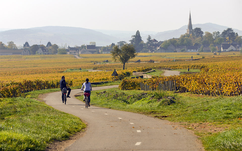 Voie verte dans le vignoble de Meursault