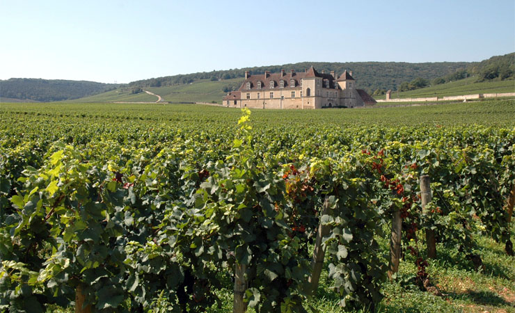 château de Clos de Vougeot