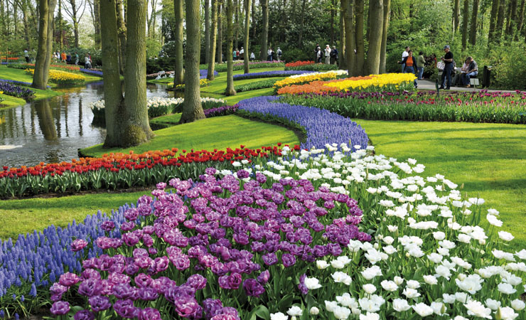 Keukenhof - parc floral