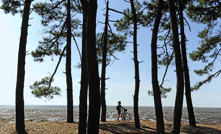 La Vélodyssée