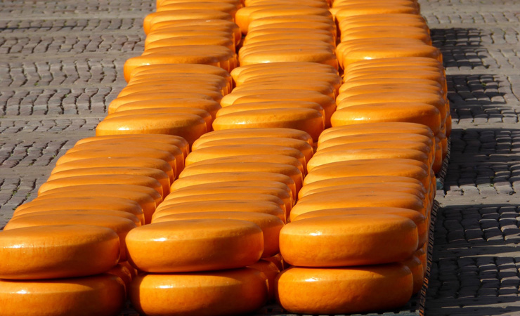 Marché aux fromages à Alkmaar